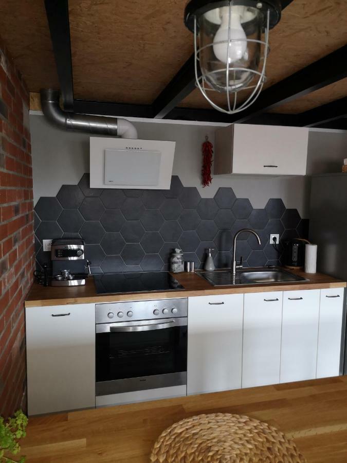 Loftstyle Apartament Zyrardow Esterno foto